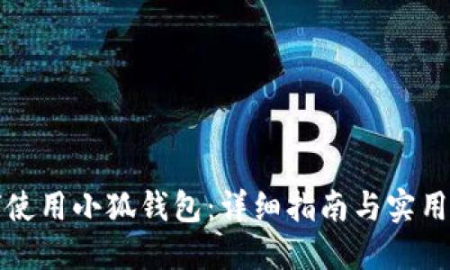 如何使用小狐钱包：详细指南与实用技巧