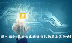 深入揭秘：最大的区块链