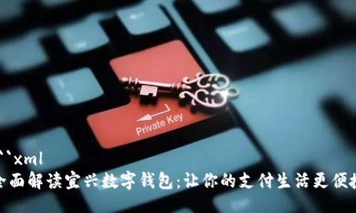 ```xml
全面解读宜兴数字钱包：让你的支付生活更便捷