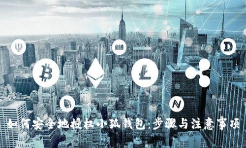 如何安全地授权小狐钱包：步骤与注意事项