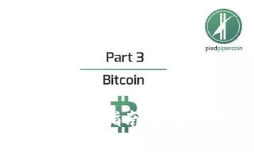 数字钱包NFC标签的使用指南：轻松管理支付与便捷生活