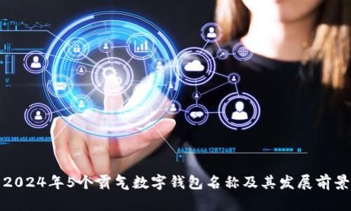 2024年5个霸气数字钱包名称及其发展前景