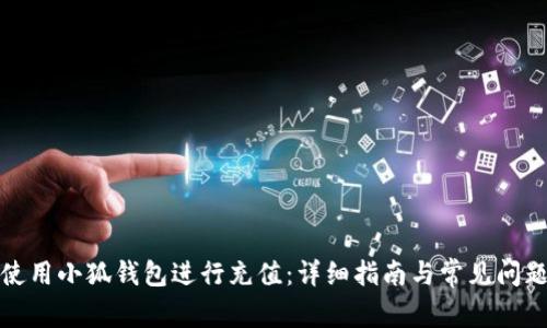 如何使用小狐钱包进行充值：详细指南与常见问题解答