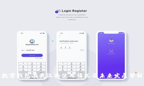 数字钱包在武汉的使用情况及未来发展分析