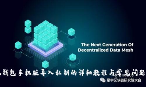 小狐钱包手机版导入私钥的详细教程与常见问题解析