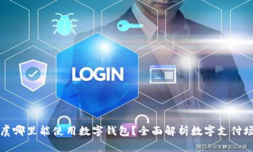 上虞哪里能使用数字钱包？全面解析数字支付场景