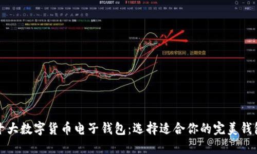 十大数字货币电子钱包：选择适合你的完美钱包