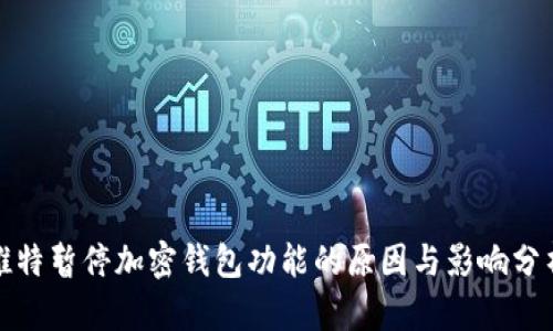 推特暂停加密钱包功能的原因与影响分析