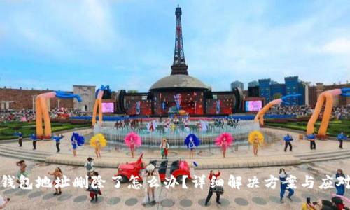 小狐钱包地址删除了怎么办？详细解决方案与应对策略