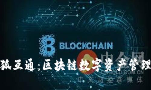 TP钱包与小狐互通：区块链数字资产管理的完美结合