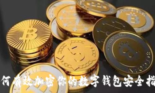   
如何有效加密你的数字钱包安全指南