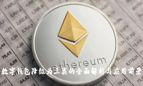 数字钱包降级为三类的全面解析与应用前景