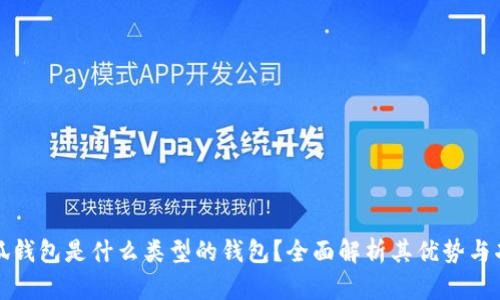 小狐钱包是什么类型的钱包？全面解析其优势与功能