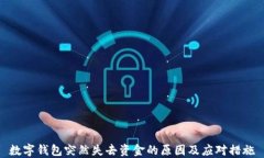 数字钱包突然失去资金的