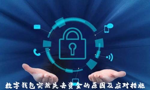 
数字钱包突然失去资金的原因及应对措施