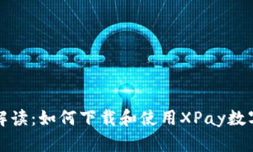 全面解读：如何下载和使用XPay数字钱包