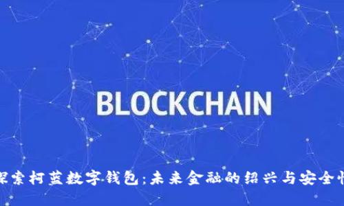 探索柯蓝数字钱包：未来金融的绍兴与安全性