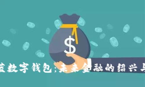 探索柯蓝数字钱包：未来金融的绍兴与安全性