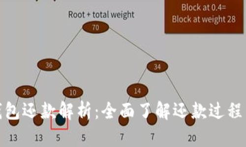 数字钱包还款解析：全面了解还款过程与技巧