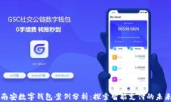 南安数字钱包案例分析：