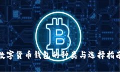 数字货币钱包的种类与选