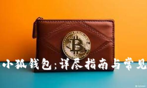 如何授权小狐钱包：详尽指南与常见问题解析