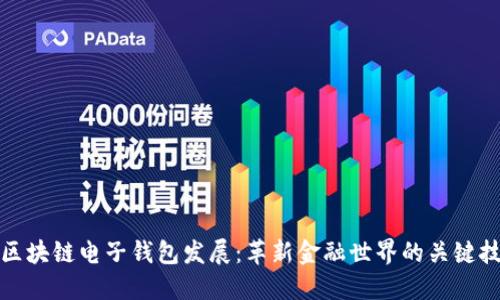 : 区块链电子钱包发展：革新金融世界的关键技术