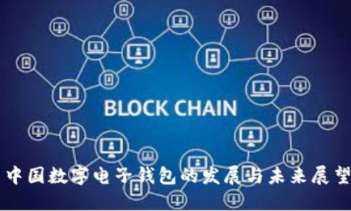 中国数字电子钱包的发展与未来展望