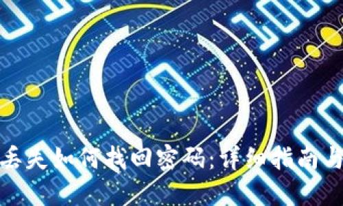 数字钱包丢失如何找回密码：详细指南与应对策略