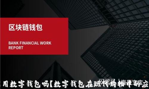 
买菜能用数字钱包吗？数字钱包在现代购物中的应用详解