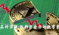 区块链钱包品种详解：选