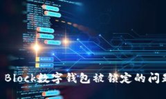 如何解决S Block数字钱包被