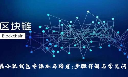 :如何在小狐钱包中添加马蹄莲：步骤详解与常见问题解析