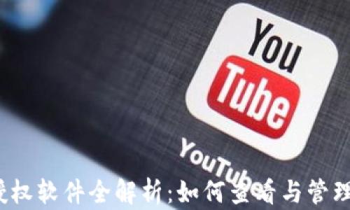 
小狐钱包授权软件全解析：如何查看与管理授权信息？