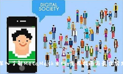 深入了解MetaMask主网：使用指南与最佳实践