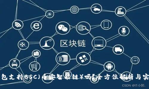 小狐钱包支持BSC（币安智能链）吗？全方位解析与实用指南