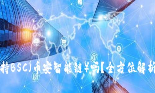 小狐钱包支持BSC（币安智能链）吗？全方位解析与实用指南