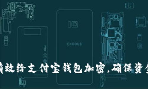 如何有效给支付宝钱包加密，确保资金安全