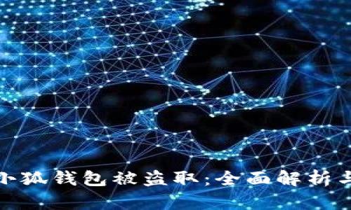 如何防范小狐钱包被盗取：全面解析与安全建议