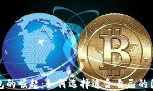 
全球数字钱包的崛起：如何选择适合自己的国外数字钱包
