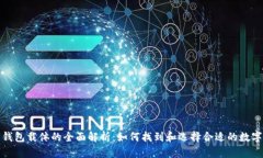 数字钱包载体的全面解析