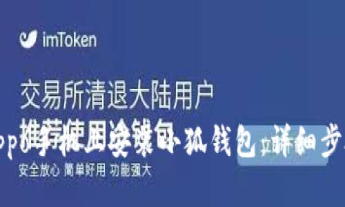 如何在Oppo手机上安装小狐钱包：详细步骤与技巧