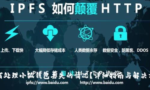 如何处理小狐钱包丢失的情况？详细指南与解决方案