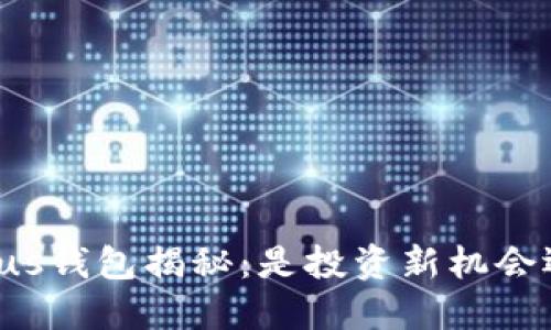 区块链Plus钱包揭秘：是投资新机会还是骗局？