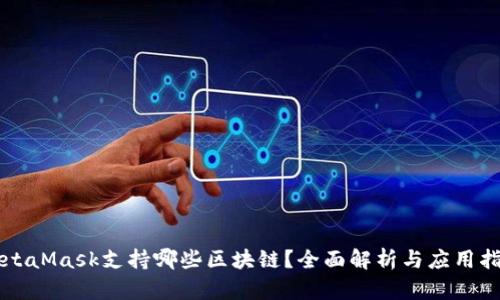 MetaMask支持哪些区块链？全面解析与应用指南