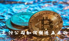 数字钱包支付公司如何塑