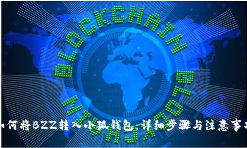 如何将BZZ转入小狐钱包：详细步骤与注意事项