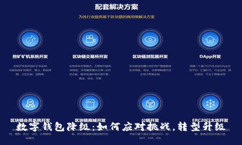 数字钱包降级：如何应对挑战，转型升级