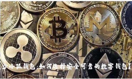 少小狐钱包：如何选择安全可靠的数字钱包？