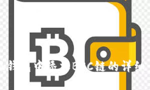 如何在小狐钱包中添加BSC链的详细步骤与指南